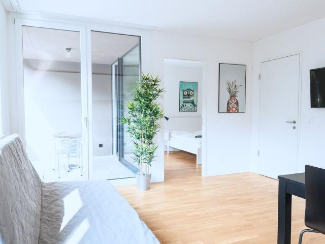 Moderne 2.5 Zimmer Wohnung mit Balkon in Basel