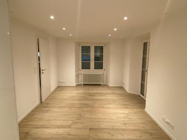 moderne 2.5 Zimmer Wohnung mit grosser Terrasse