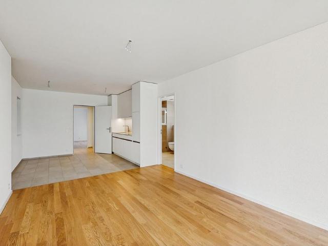 Moderne 2.5 Zimmer Wohnung mit Mietgarten und Holzterrasse in Züric.