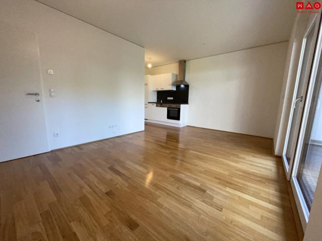 moderne 2 raum wohnung mit großem süd balkon!