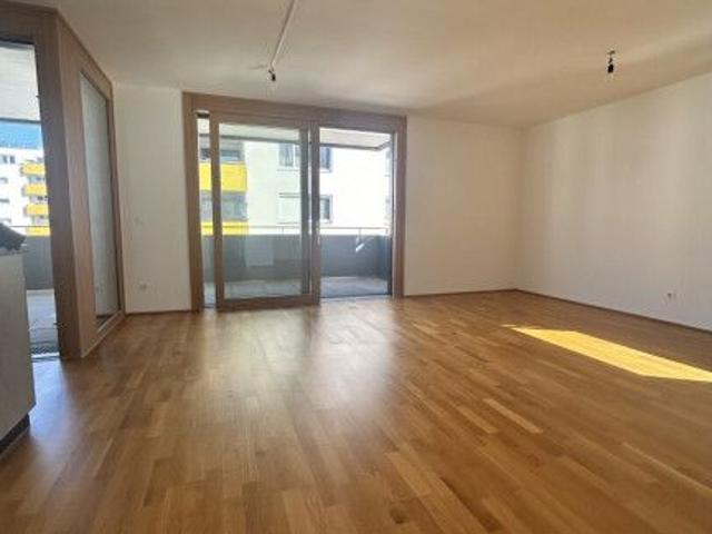 Moderne 2 Zi Terrassenwohnung in Lenzing, neuwertig, Balkon, Fußbodenheizung, nur 490€ Kaltmiete