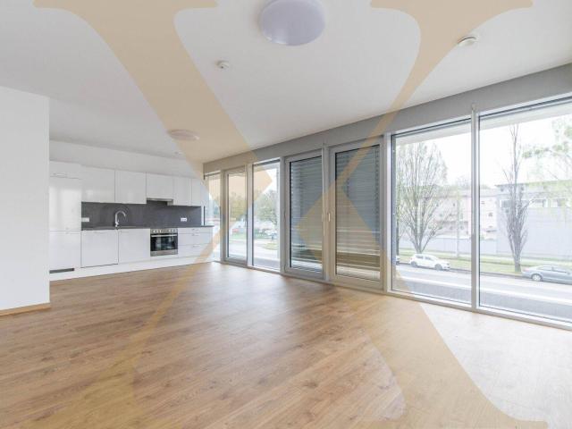 Moderne 2 Zimmer Wohnung mit DAN Küche in zentraler Lage zu vermieten! Top 18