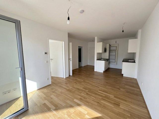 Moderne 2 Zimmer Wohnung mit Freifläche im Herzfelderhof