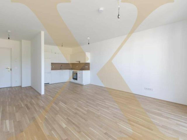 Moderne 2 Zimmer Wohnung mit hofseitigem Balkon nähe Hummelhofwald in Linz zu vermieten!