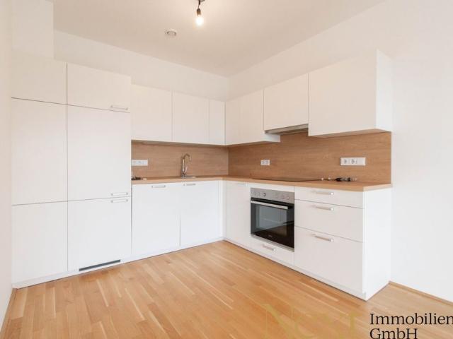 Moderne 2 Zimmer Wohnung mit hofseitigem Balkon nähe Hummelhofwald in Linz zu vermieten!