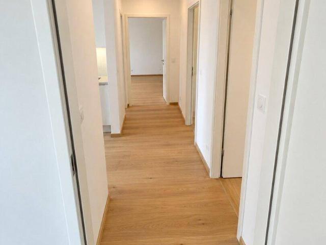 Moderne 2 Zimmer Wohnung, vollsaniert, 50m², Top Ausstattung, 1230 Wien, Miete 1.090€