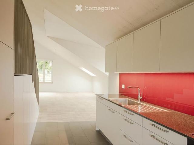 Moderne 3.5 Zimmer Attika Wohnung