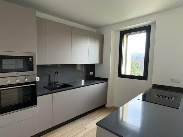 Moderne 3.5 Zimmer Wohnung im 1. Stock mit Seesicht in Pura – Komfort an ruhiger Lage
