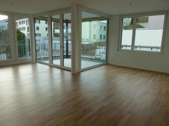 Moderne 3.5 Zimmer Wohnung in Schaffhausen