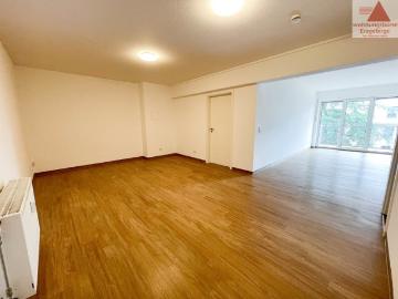 Schlema, Erzgebirge, Sachsen - Balkon, Ausgestattete Küche