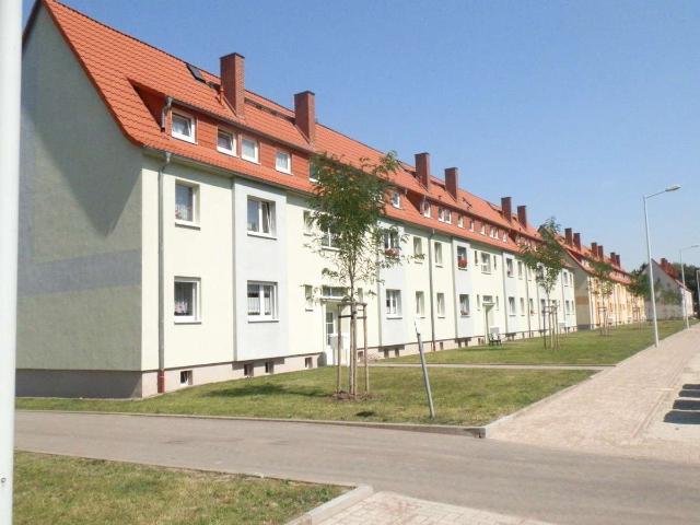 moderne 3 Raum Wohnung in ruhiger Lage mit viel Grün
