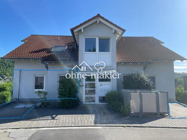 Moderne 3 Zi. EG Wohnung mit Blick übers Tal in Heppenheim Kirschhausen