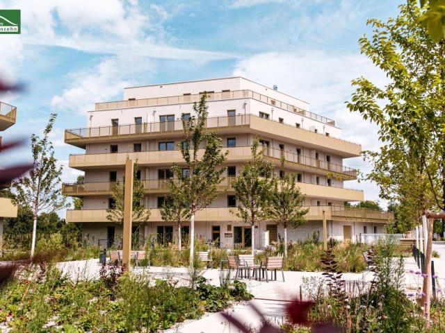 Moderne 3 Zimmer Wohnung im energieeffizenten Neubauprojekt Hirschfeld Naturnah wohnen