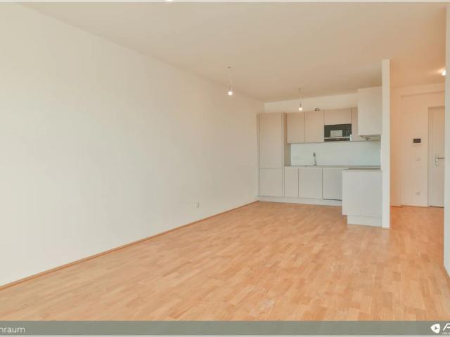 Moderne 3 Zimmer Wohnung in Krems: Erstbezug mit Terrasse