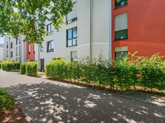 Moderne 3 Zimmer Wohnung mit EBK und Dachterrasse