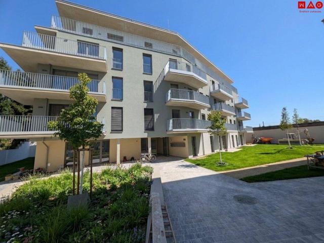 Moderne 3 Zimmer Wohnung mit Garten – Ihr neues Zuhause!
