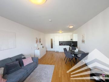 Moderne 3 Zimmer Wohnung mit Küche und Balkon in Linz