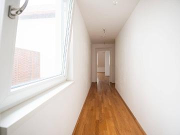 Herzog-Leopold-Straße, Wiener Neustadt, Wiener Neustadt, Statutarstadt Wiener Neustadt, Niederösterreich