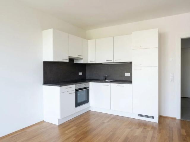 Moderne 3 Zimmer Wohnung mit 2 Balkonen Harterstraße 96 Top 16