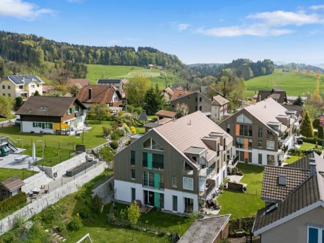 Moderne 4.5 Zimmerwohnung mit Alpenblick