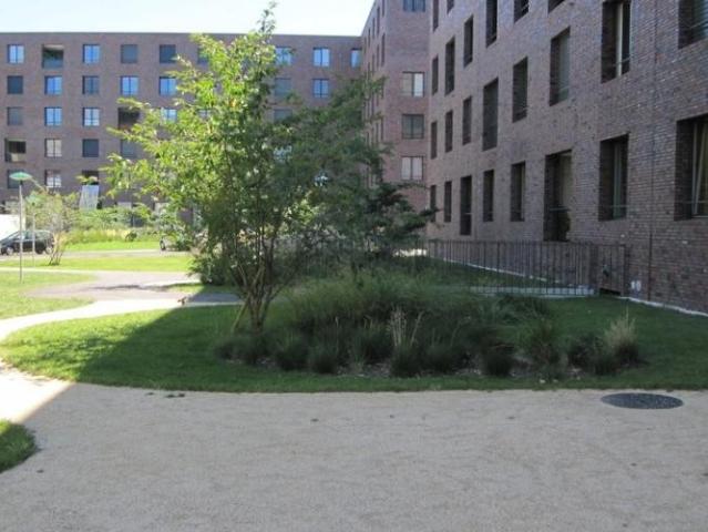 Moderne 4.5 Zimmerwohnung in der Überbauung Volta West