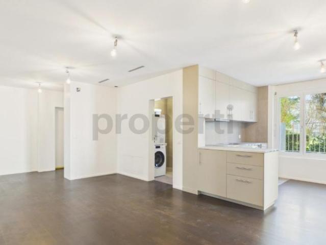 Moderne 4.5 Zimmer Wohnung mit Aufzug, Opfikon