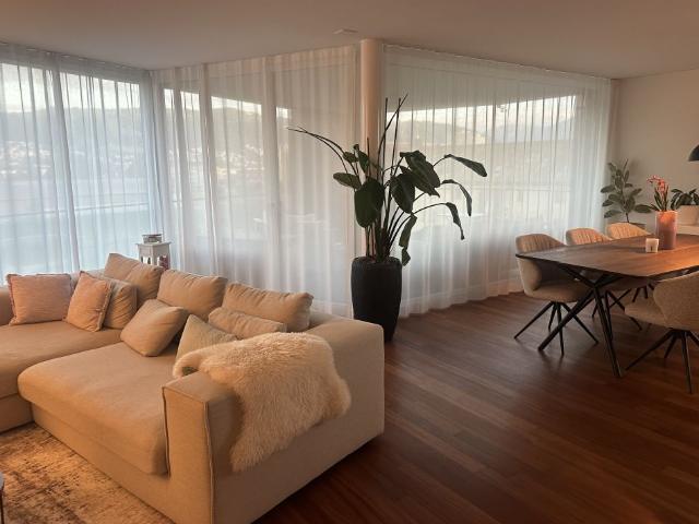 Moderne 4.5 Zimmer Wohnung mit Aussicht in Zug