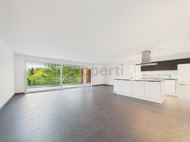 Moderne 4.5 Zimmer Wohnung mit Balkon, Dachsen