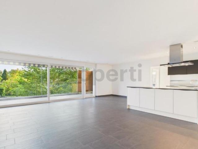 Moderne 4.5 Zimmer Wohnung mit Balkon, Dachsen