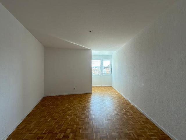 Moderne 4.5 Zimmer Wohnung / Superbe 4,5 pièces moderne