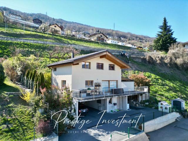 MODERNE 4,5 PC VILLA MIT PANORAMABLICK! SALZPFANNEN