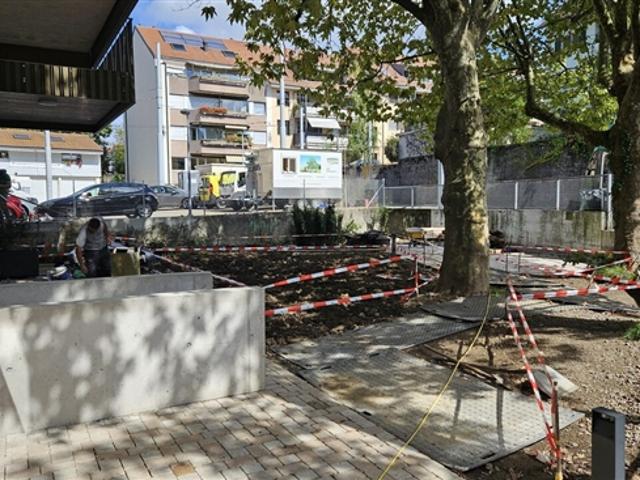 Moderne, grosse 5.5 Zi. Gartenwohnung bei der Tramstation W03