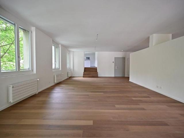 Moderne 5.5 Zimmerwohnung direkt an der Aare