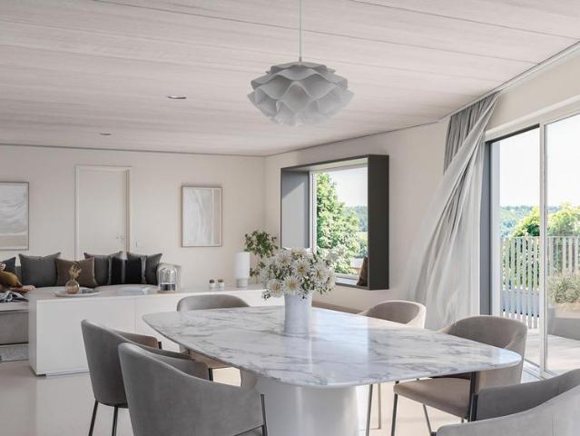 Modernes 5.5 Zimmer Einfamilienhaus mit offenem Attika Studio Neub.