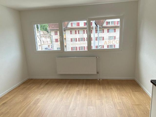 Modernes 1 Zimmer Apartment im Neubau an der Bahnhofstrasse in Seewen SZ