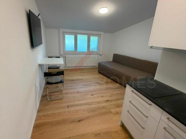 Modernes 1.5 Zimmer Studio im Erdgeschoss neuwertig, ruhig und mit attraktiven Inklusivleistungen