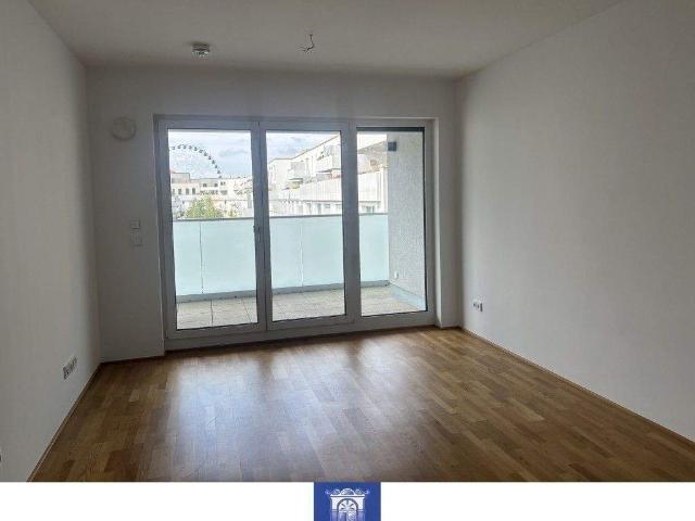 Modernes Wohnen in der Dresdner Innenstadt! EBK!
