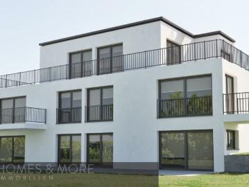 Villa kaufen in Wallisellen