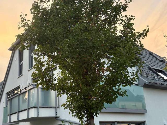 Modernes Wohnen: Möblierte 3 Zimmer Wohnung mit Balkon in Karlsfeld