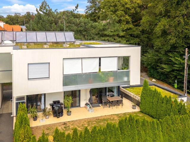 Modernes Wohnen mit Garten & idyllischem Waldblick!