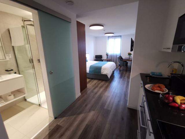 Modernes Business Studio in Zuchwil bei Solothurn, Zuchwil Amsterdam Apartments for Rent