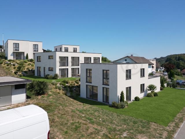 Modernes DEFH Neubauprojekt mit Terrasse und Balkon in Safenwil