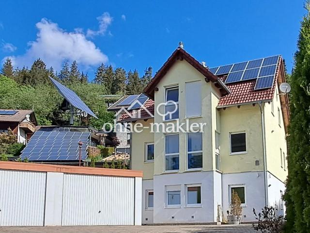 Modernes Effizienzhaus 16 kWh/m²a Wohnen, Arbeiten und/oder Vermieten unverbaubare Aussicht