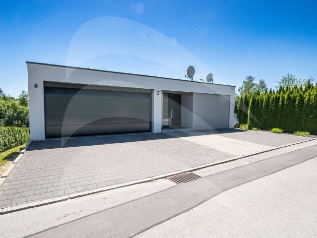 Modernes Einfamilienhaus mit großem Grundstück