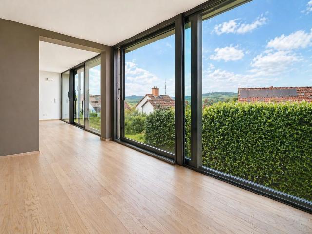 Modernes Einfamilienhaus mit Taunuspanorama