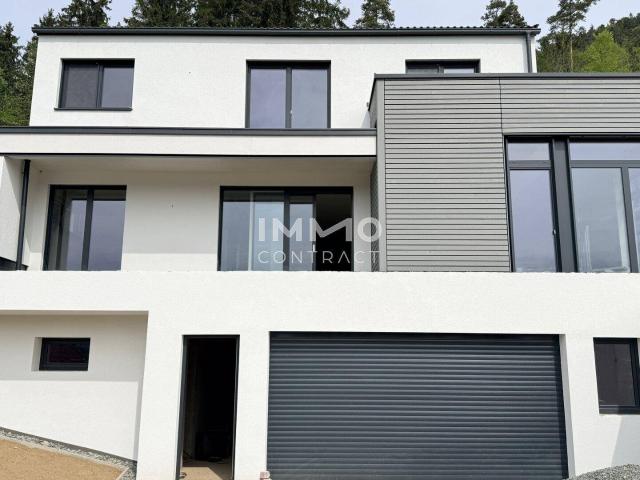 Modernes Griffner Architektenhaus mit Burgblick