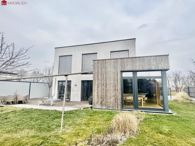 Modernes Griffner Haus in Laa a. D. Thaya!
