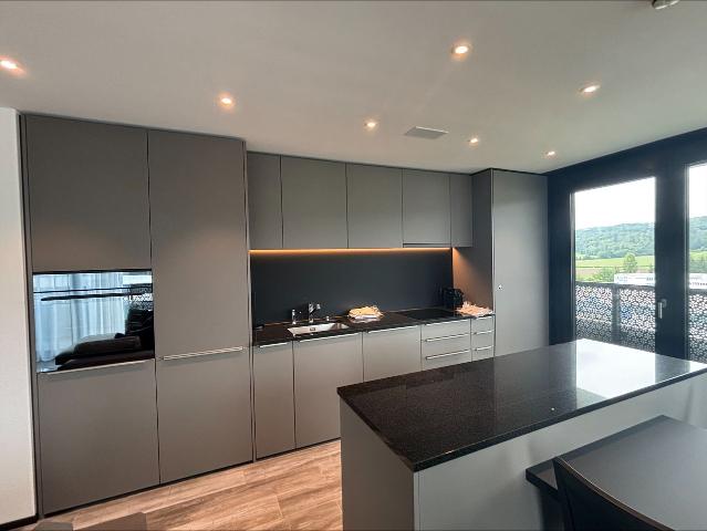 Modernes möbliertes Business Apartment mit Weitsicht – Zürich Nord, Dubendorf Amsterdam Apartments for Rent