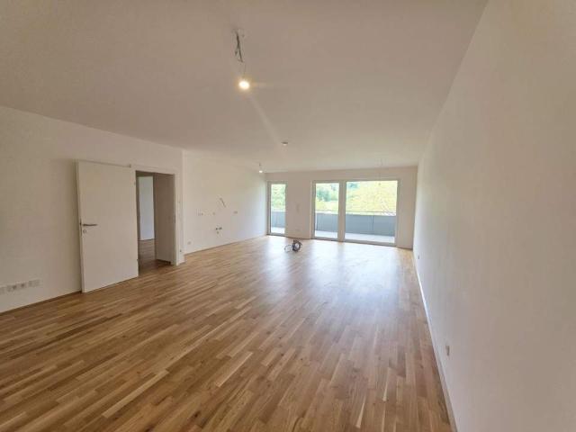 Modernes Neubau Wohnhighlight mit großzügigem Balkon – Erstbezug in Haag am Hausruck