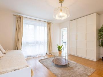 Modernes, renoviertes 1 Zimmer Apartment mit Balkon – sofort bezugsfertig
